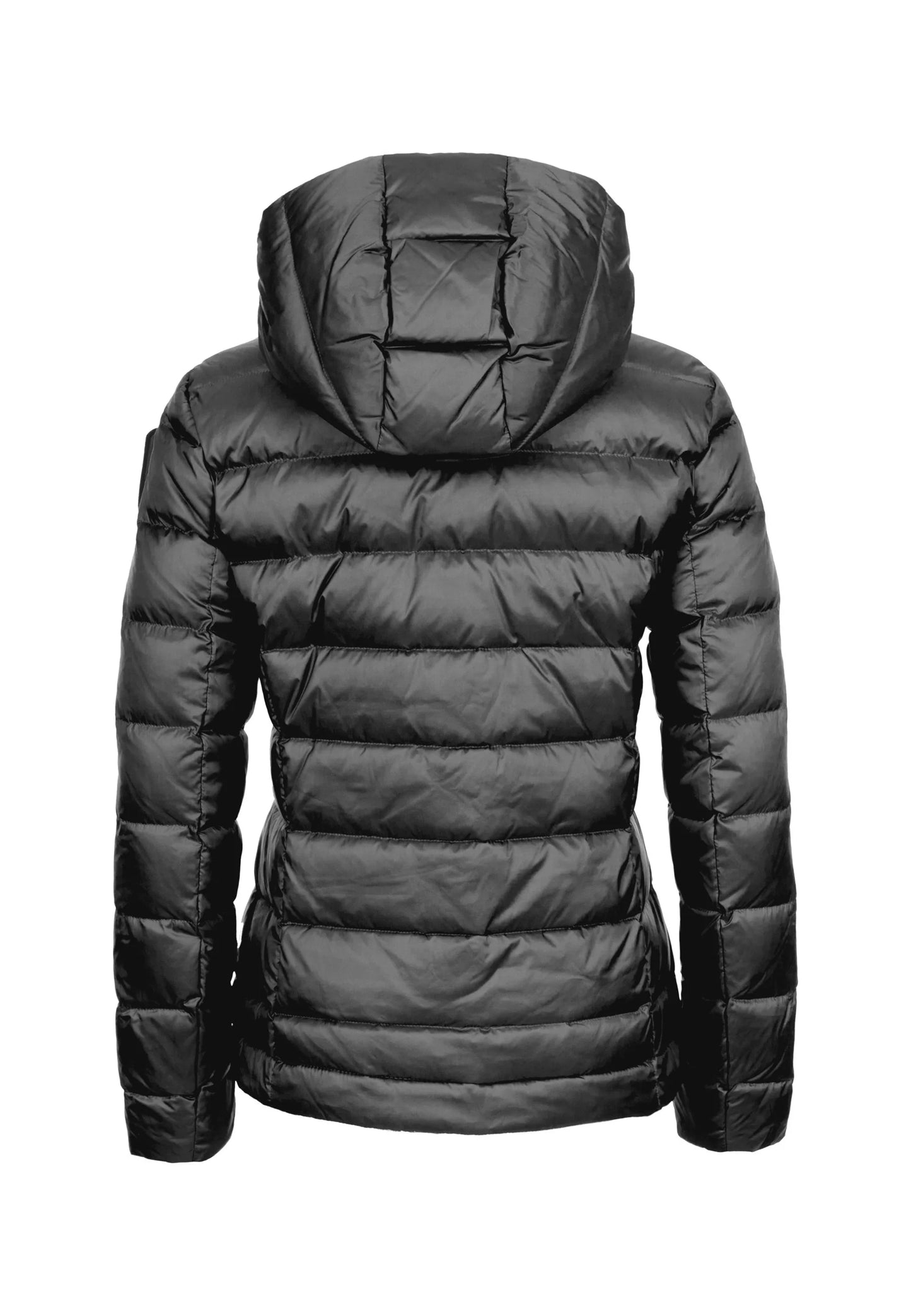 BLAUER | Piumino sfiancato CHARME