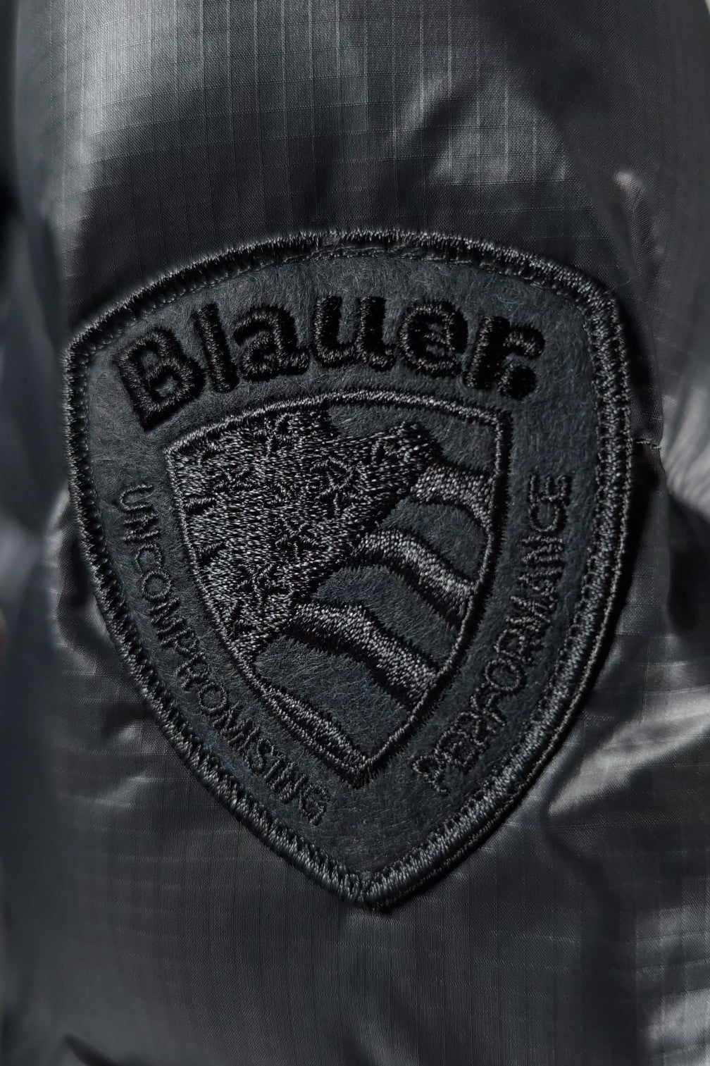 BLAUER | Piumino in nylon ECO ADAMS